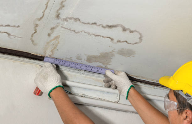 Reliable Mold Remediation contractor in New Lisbon, IN by Water Damage Irwin